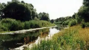 Borcs Peryche Holt Rabca Menti Tanosveny