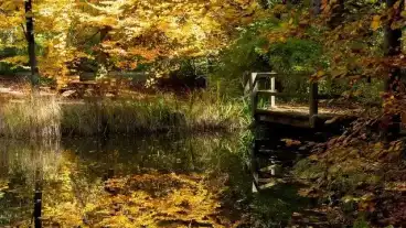 Budakeszi Arboretum 1