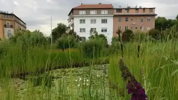 Budapest Budai Arboretumtol Indulo Tura