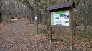 Budapest Guckler Tanosveny 1