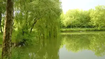 Budapest Hidegkuti Horgaszto 1