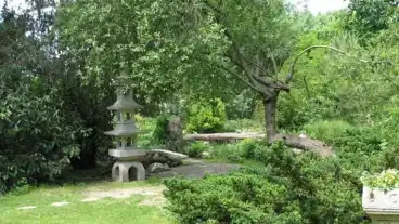 Budapest Japankert 1