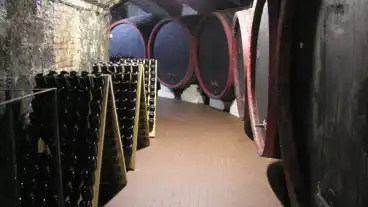 Budapest Lics Pinceszet Budafok 01