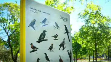 Budapest Madarbaratok Tanosvenye 1