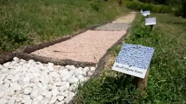 Budapest Mezitlabas Taposooseny 1