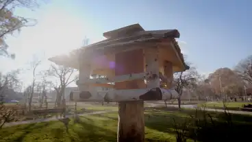 Budapest Mocsenyi Mihaly Botanikus Kert 6