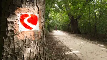 Budapest Normafa Kardioosveny