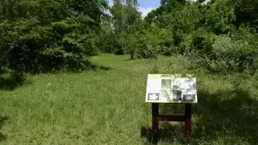 Bugac Boroka Tanosveny 1