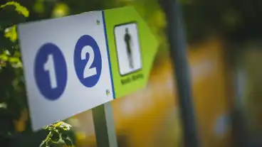 Buk Napsugar Nordic Walking Utvonal 1