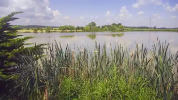 Buk Nem Csak Boldog Asszonyok Kerekpartura