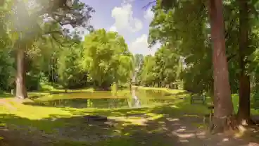 Bukk A To Vonzasaban Kerekpartura