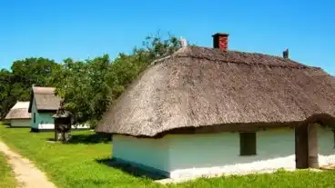 Buzsak Janos Hegyi Pincesor