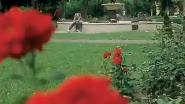 Cegled Gubody Kert 1