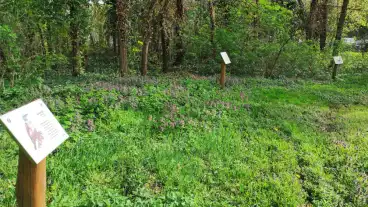 Celldomolk Madartani Tanosveny 1