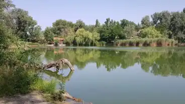 Cibakhaza Holt Tisza 1