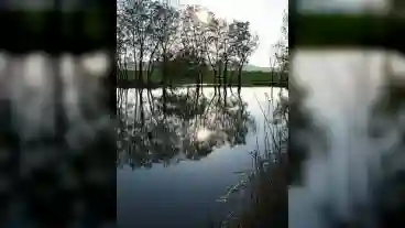 Csakvar Gobolyvolgyi Banyato