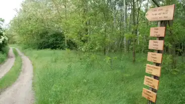 Csaszartoltes Osi Osveny 1