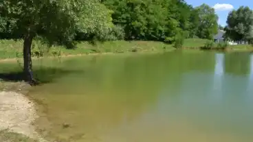 Csepreg Teglagyari To 1