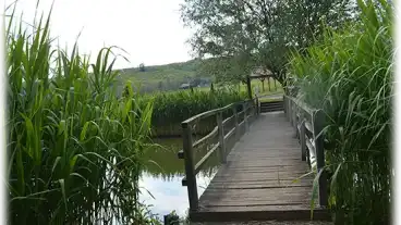 Csovar Barina Horgaszto