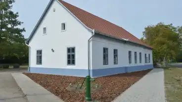 Dabas Gombay Dinnyes Kuria