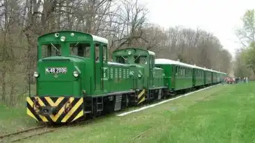 Debrecen Zsuzsi Erdei Kisvasut