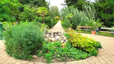 Debreceni Egyetem Botanikus Kertje 1