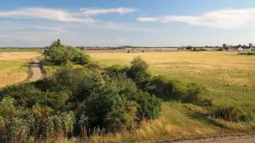 Devavanya Rehely Tanosveny