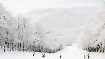 Dobogoko Sicentrum 1