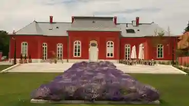 Dunaharaszti Laffert Kuria 1