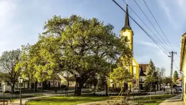 Dunakiliti Milleniumi Tolgy