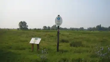 Dunapataj Kekmoszat Tanosveny