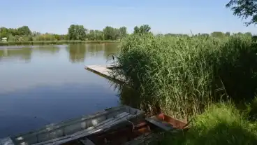 Dunapataj Szelidi To 1