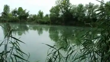 Dunaszentpal Kavicsbanyato