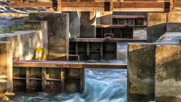 Dunasziget Hallepcso 1