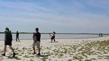 Dunatetetlen Szeki Lile Tanosveny 1