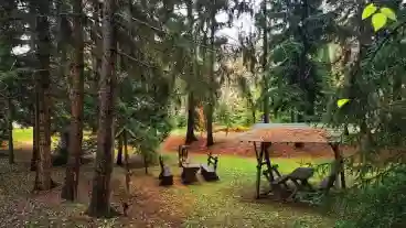 Dunaujvaros Baracsi Uti Arboretum 1