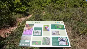 Eger Nagy Eged Hegyi Tanosveny 1