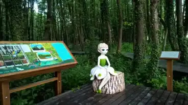 Egerosveny Tanosveny 1