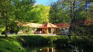 Eletmagtar 1