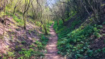 Erd Fundoklia Volgy 01