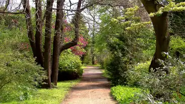 Erdotelki Arboretum 1