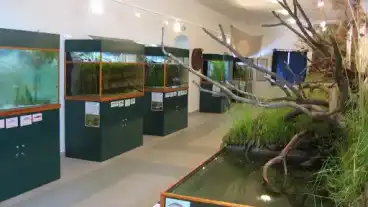 Farmos Vizparti Elet Haza 1