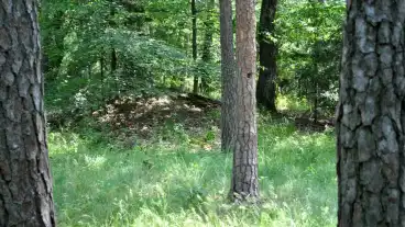 Felsocsatar Halomsirok