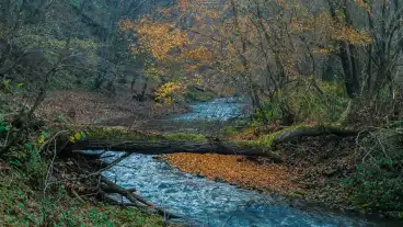 Felsocsatar Pinka Szurdok 1
