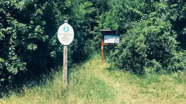 Felsoors Forras Hegyi Geologiai Tanosveny 01