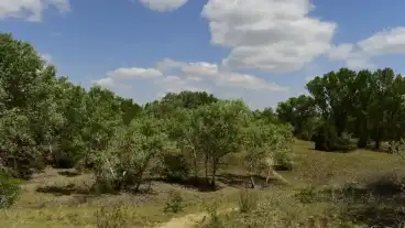 Fulophaza Baranypirosito Tanosveny 1