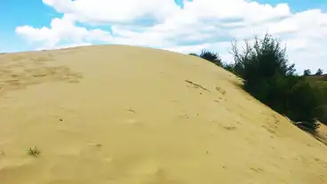 Fulophazi Buckavidek 2