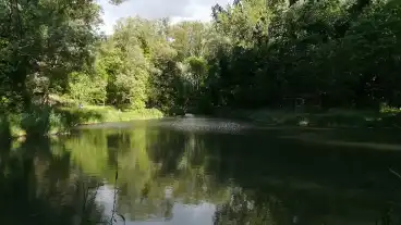 God Szakats Kerti Horgaszto