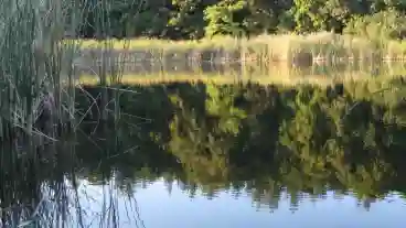 Godollo Babatvolgyi Horgaszto