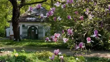 Godollo Botanikus Kert 1